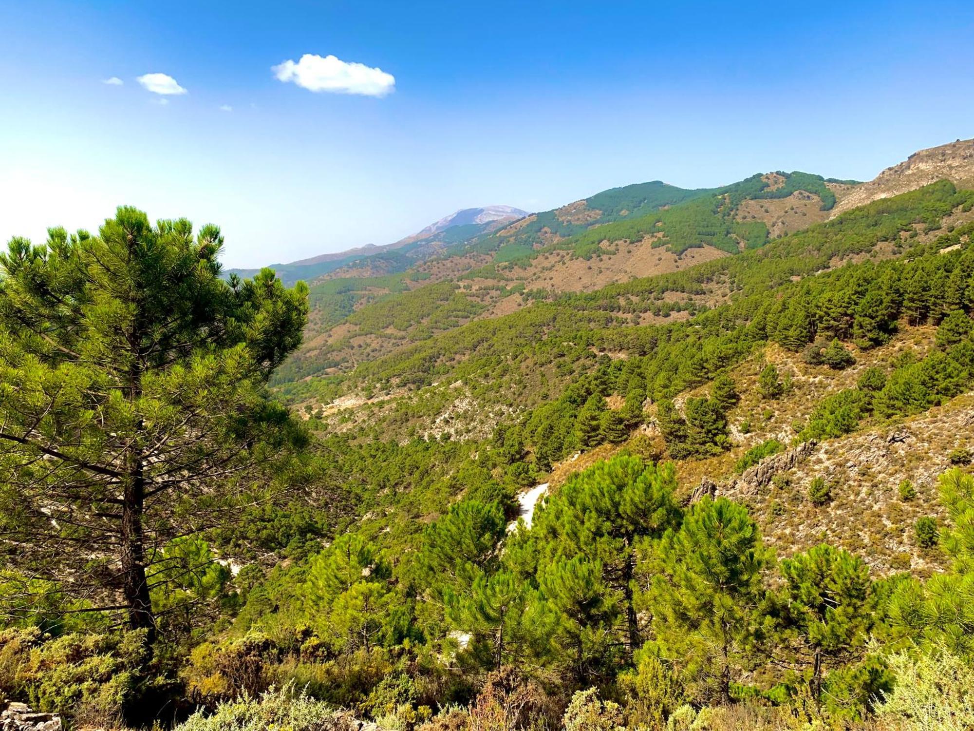 Finca El Almendro Malaga Exterior photo